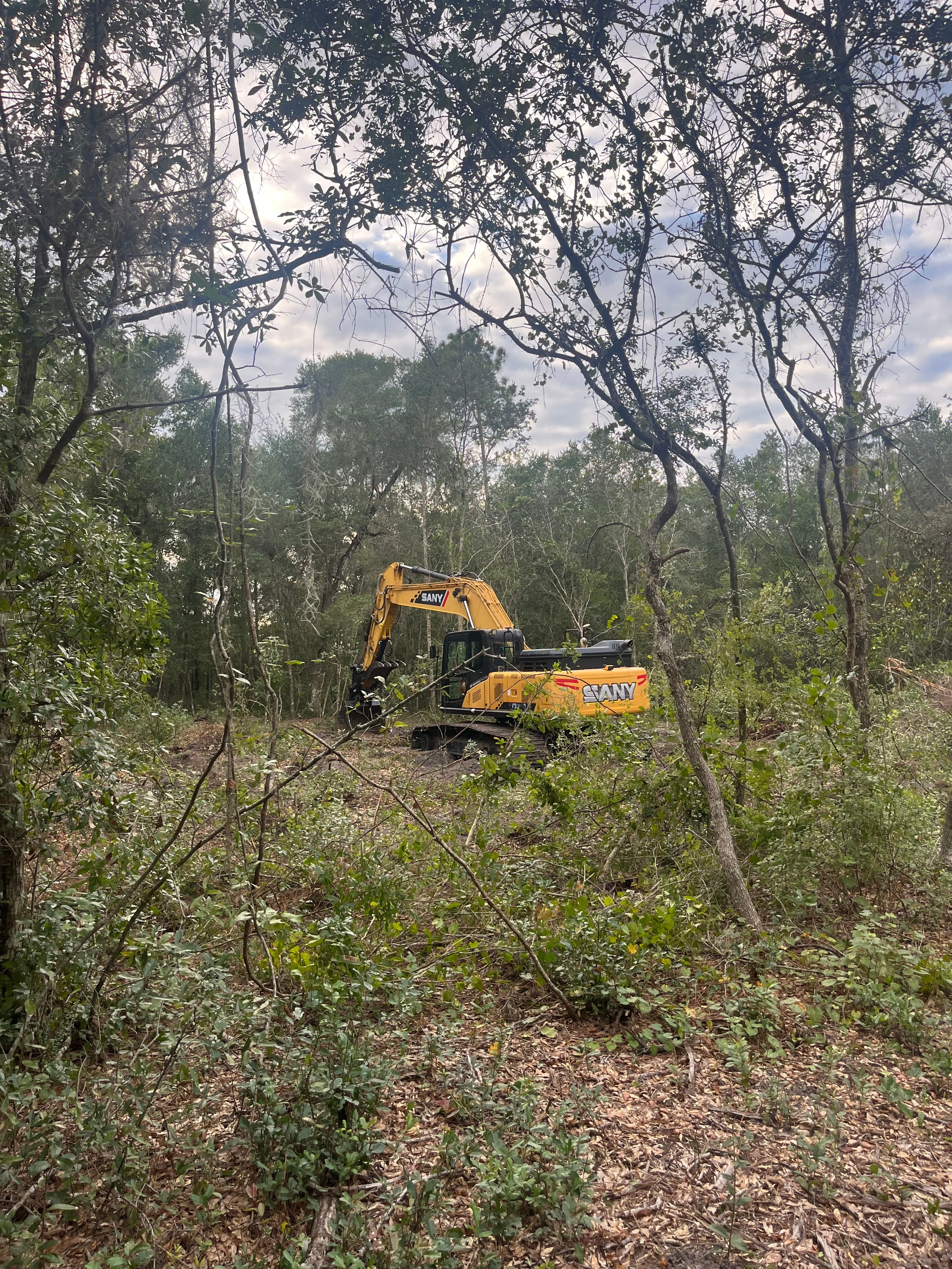 Site Services in Eustis FL