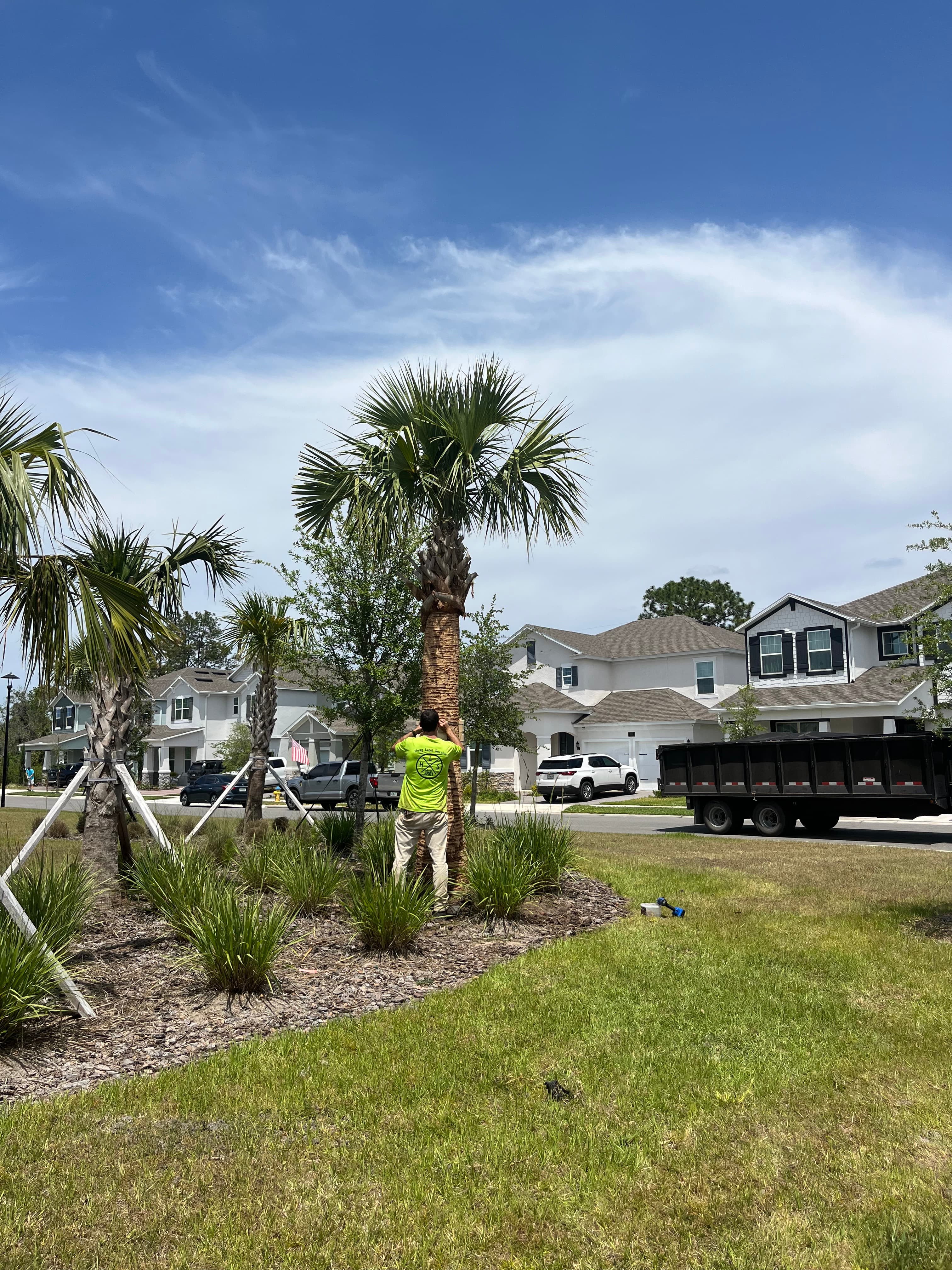 Tree Services in Ormond Beach FL