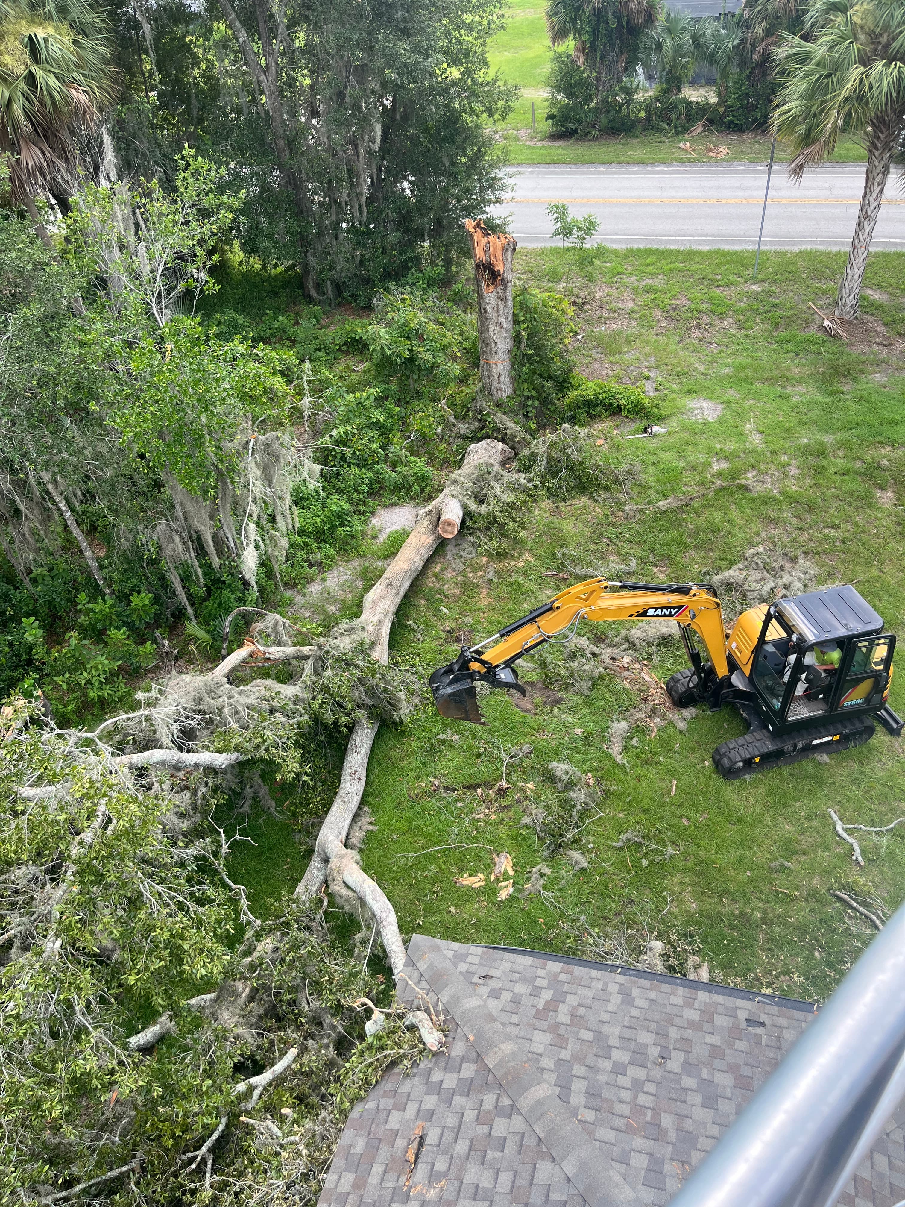 Tree Services in DeLand FL
