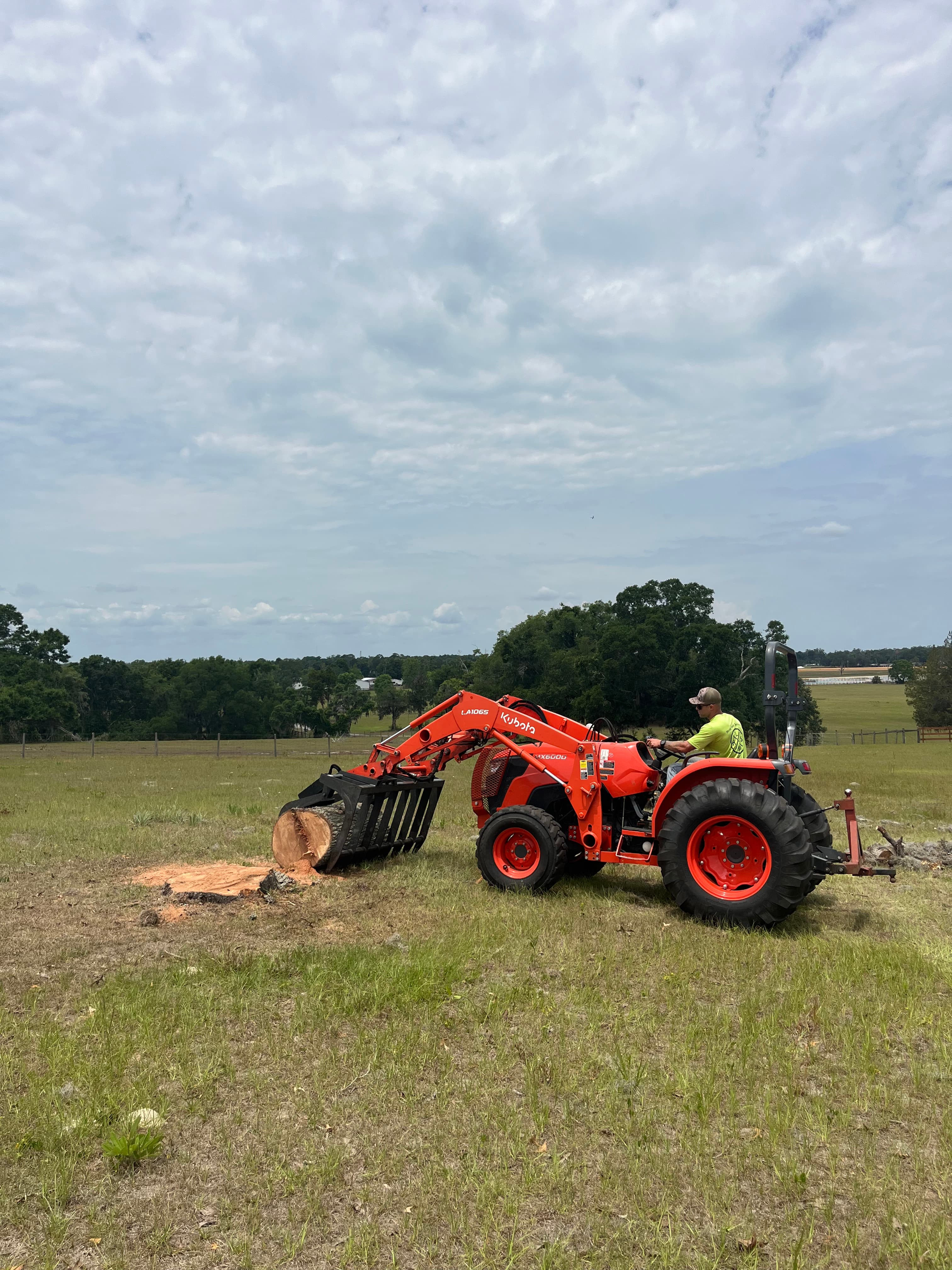 Tree Services in Mims FL