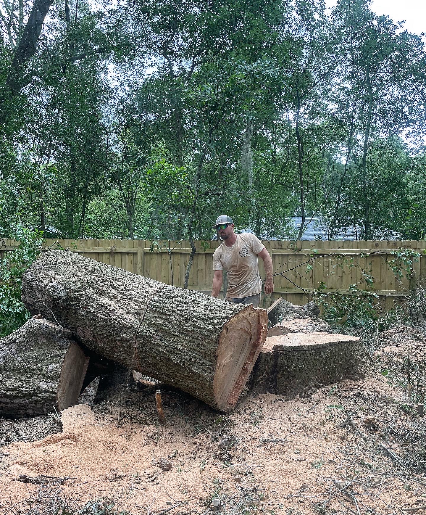 Tree trimming and removal