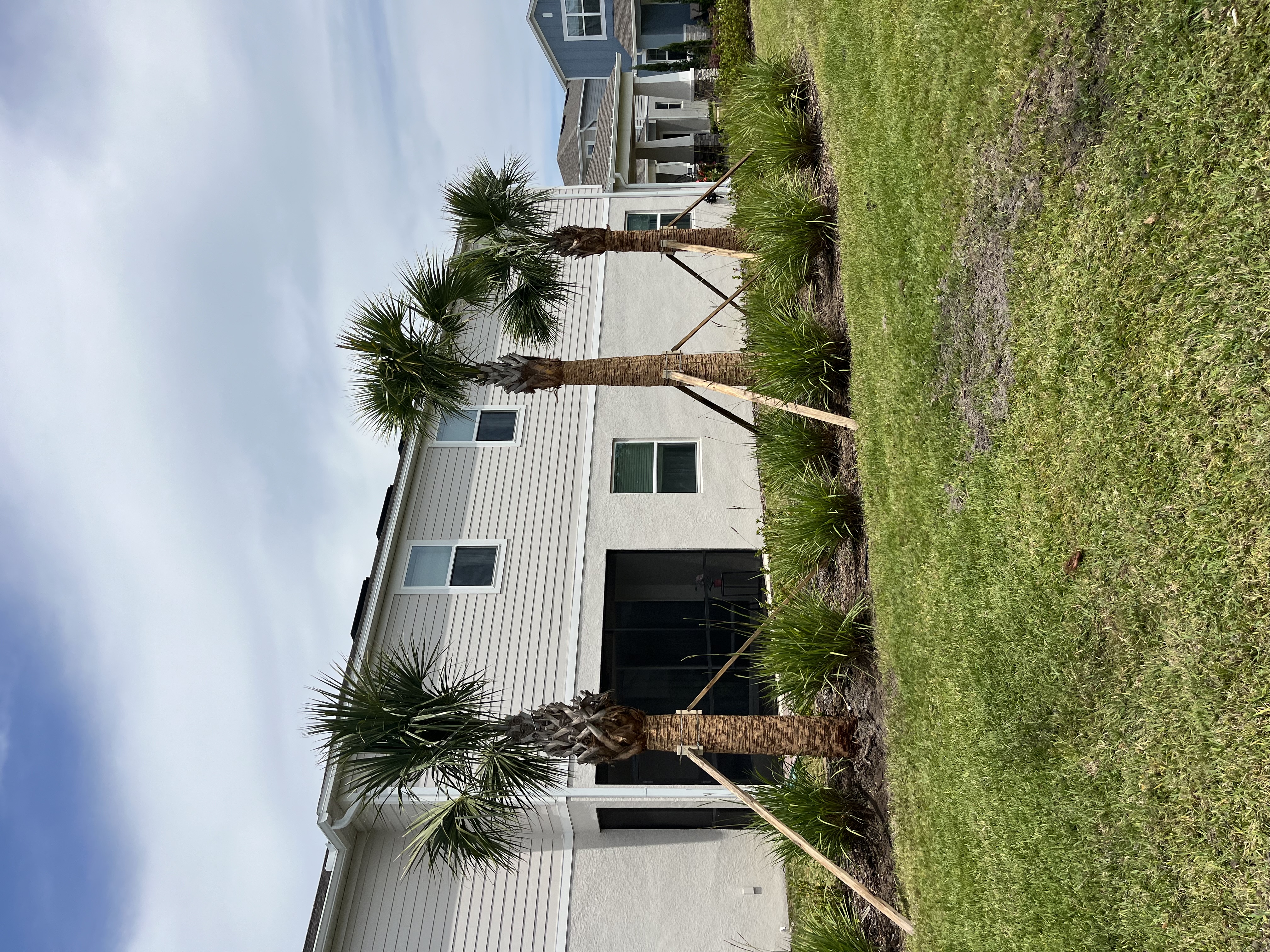 Crew working on safe tree removal using proper equipment.